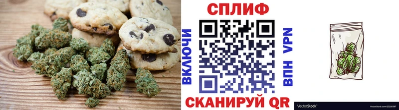 Купить закладки  Алатырь  Cannafood конопля 