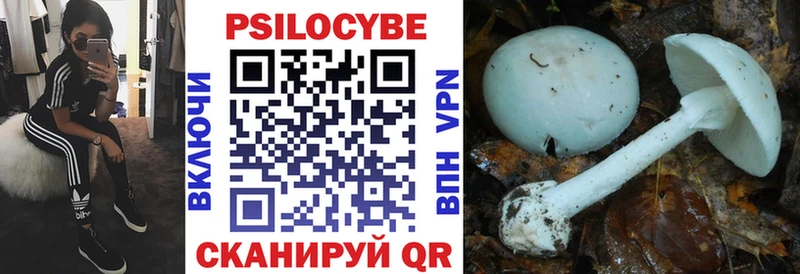 Купить  Алатырь  Галлюциногенные грибы мицелий 